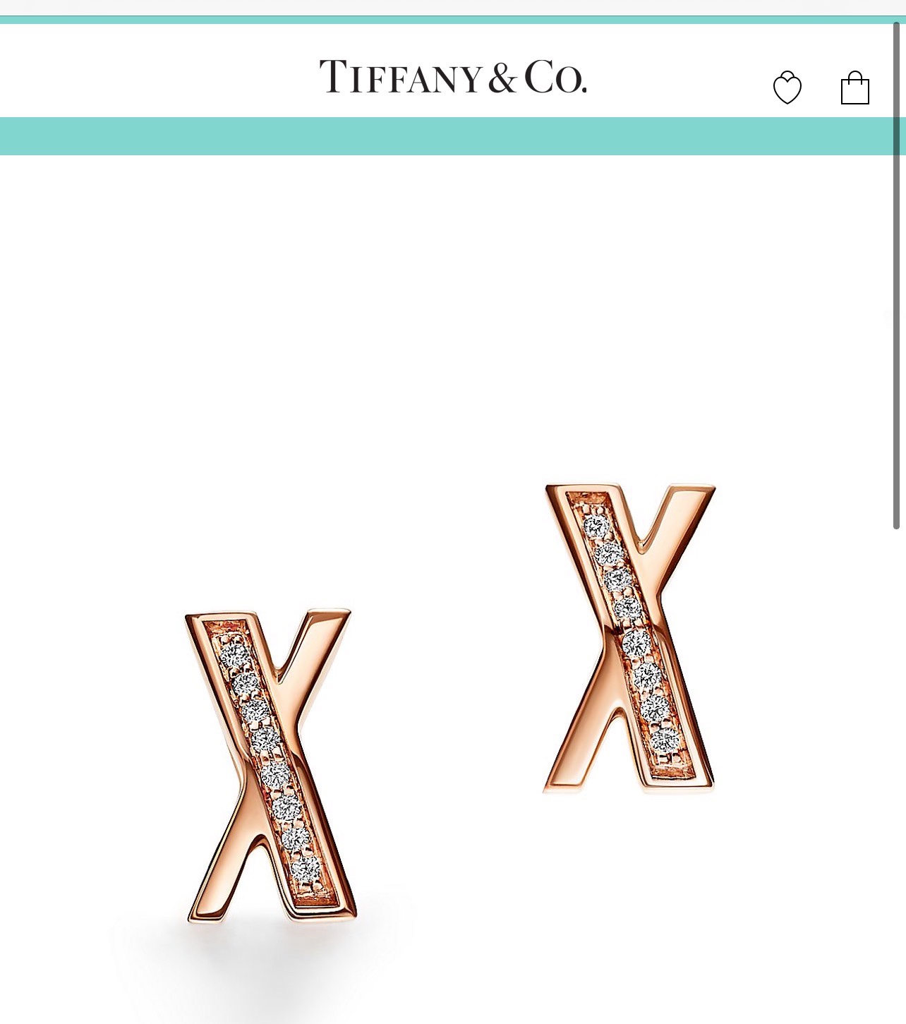 Tiffany & Co Earrings 耳环