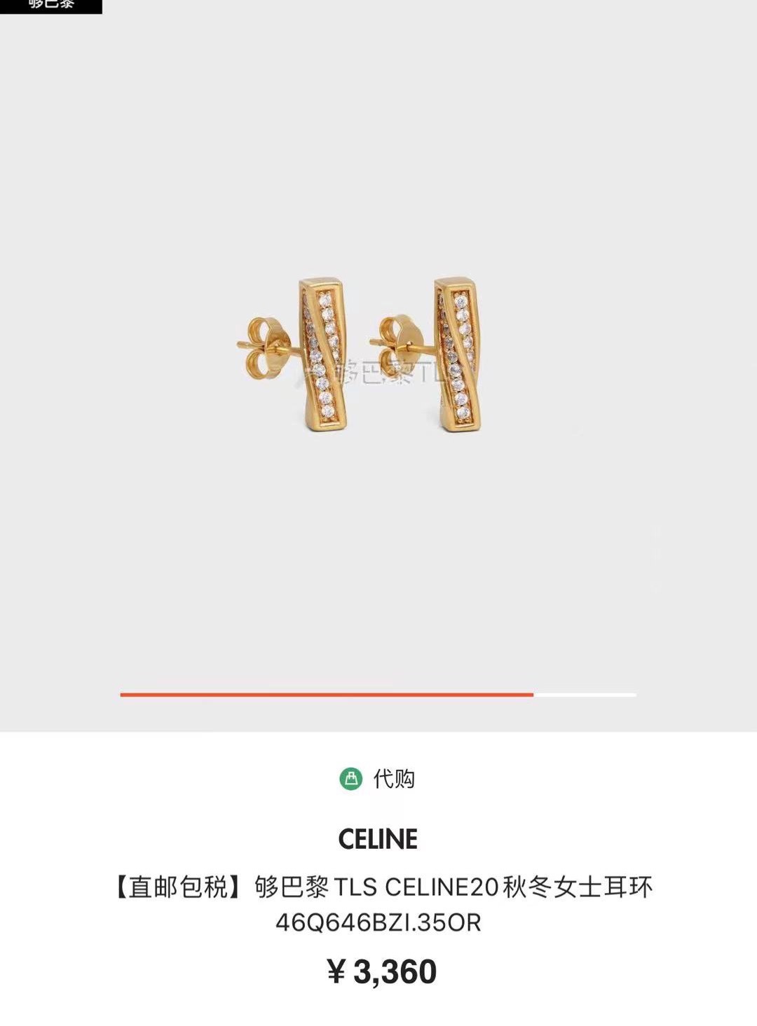 Celine Earrings 耳环