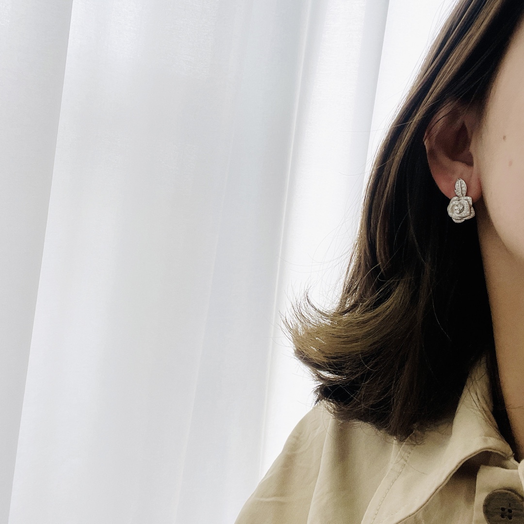 Dior earrings 耳环