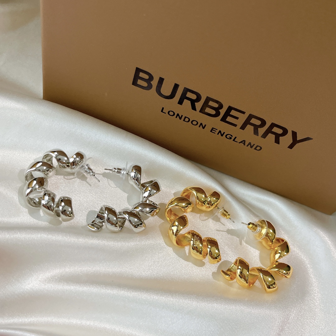 Bottega Veneta earrings 耳环