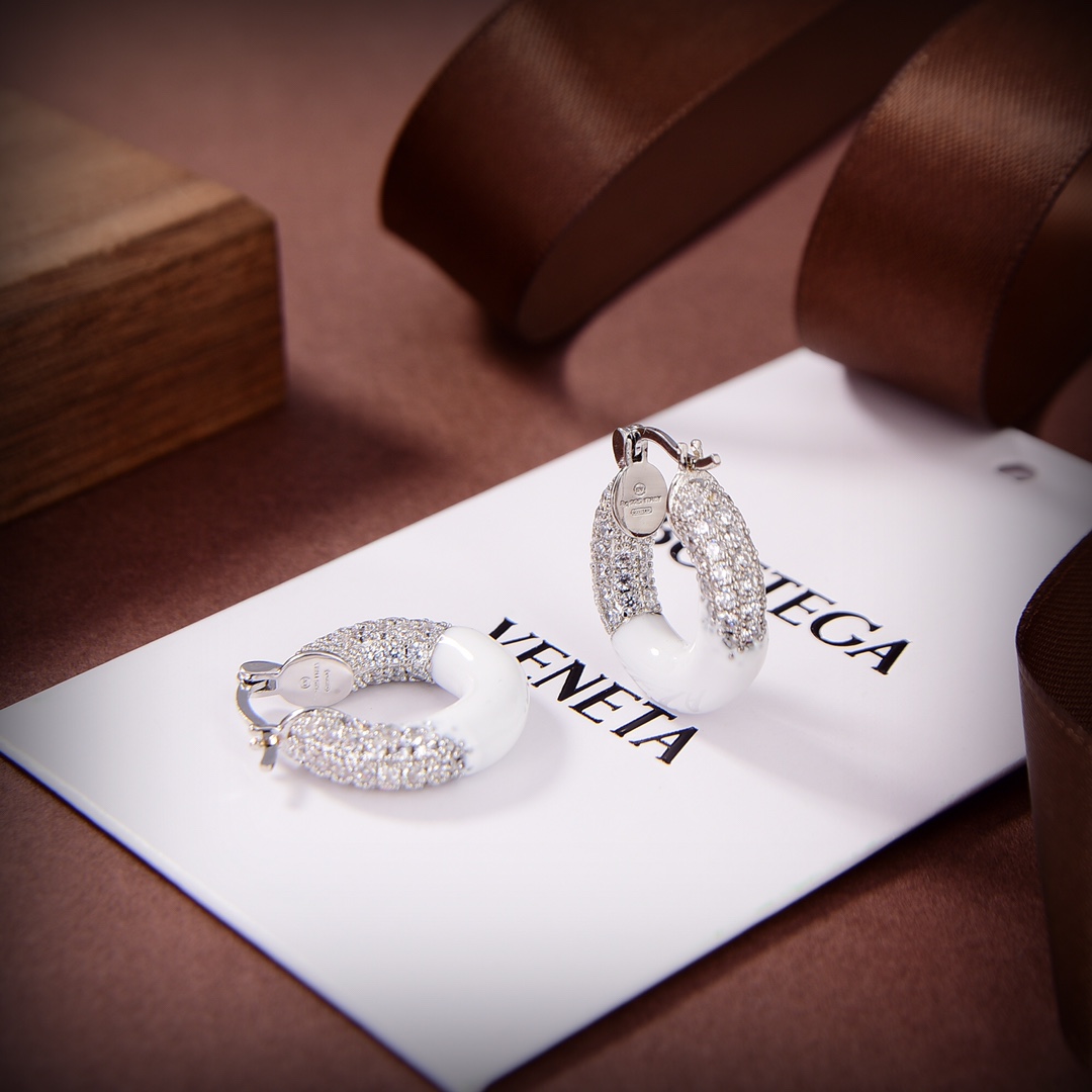 Bottega Veneta earrings 耳环