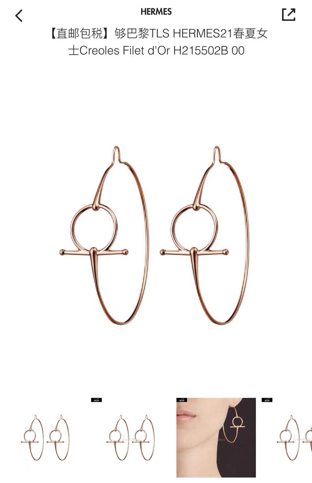 Hermes earrings