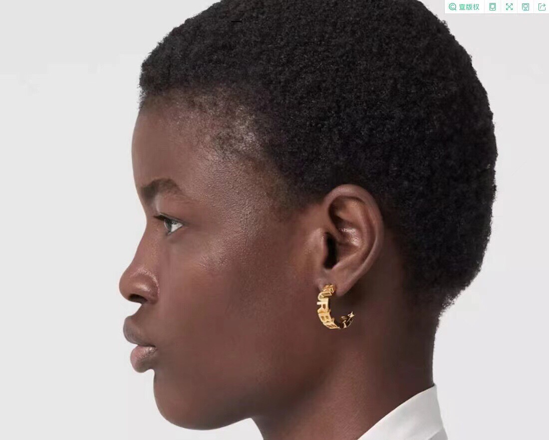 Burberry earrings