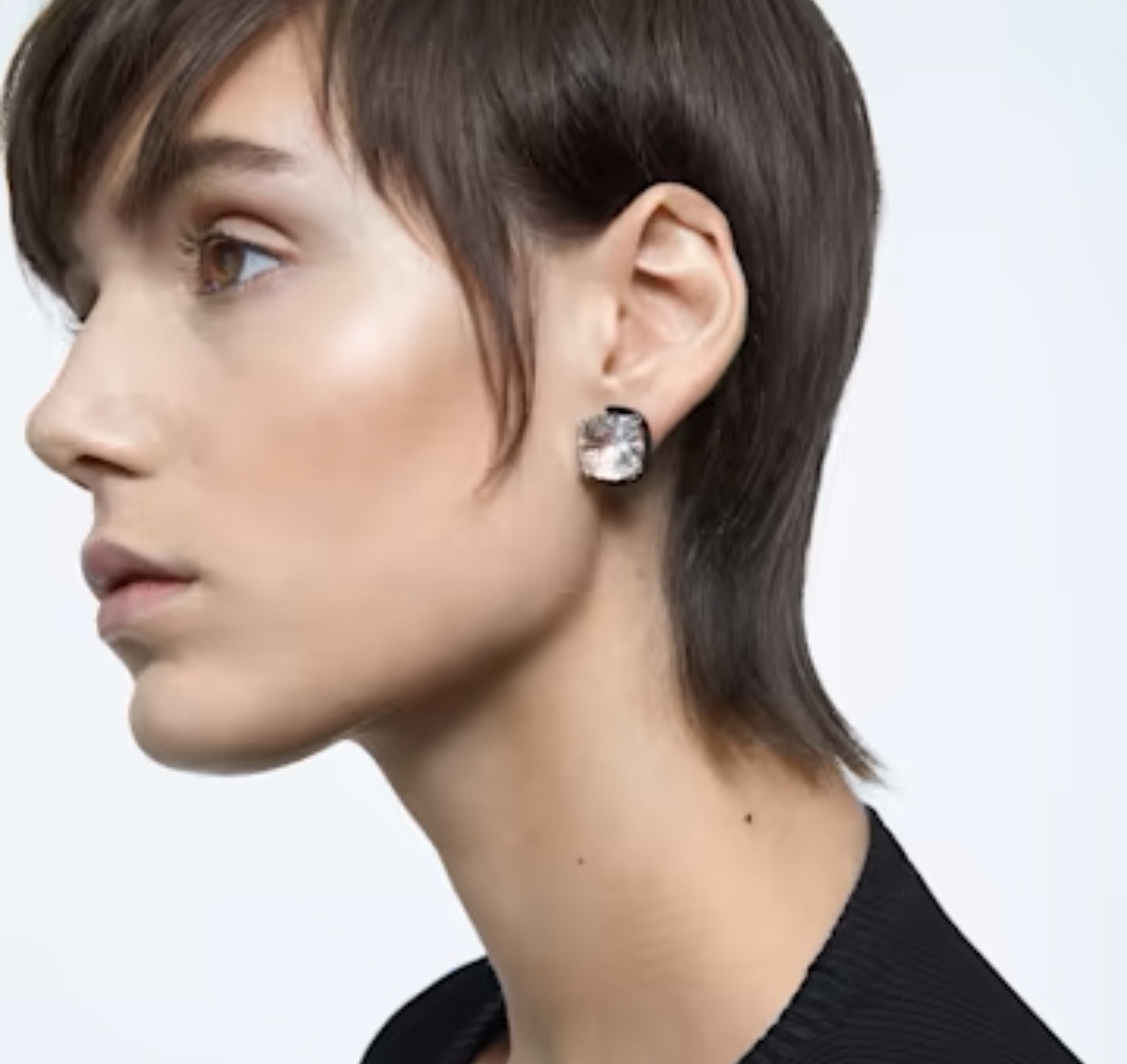 Celine earrings