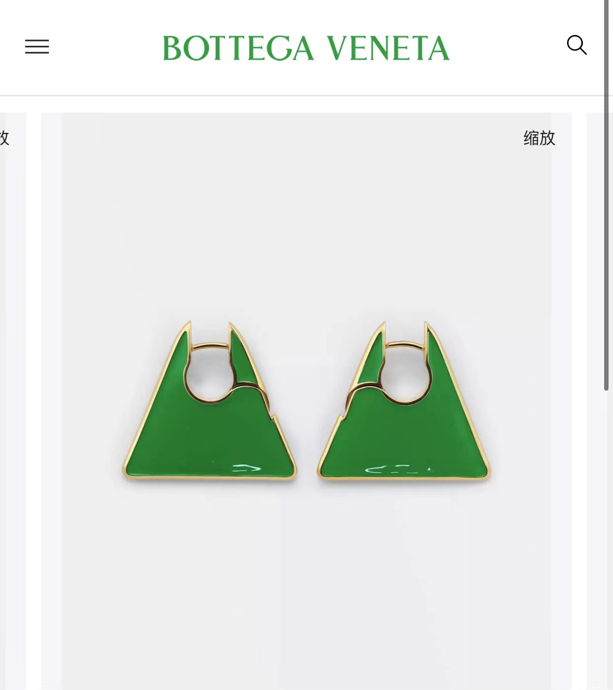 Bottega Veneta earrings