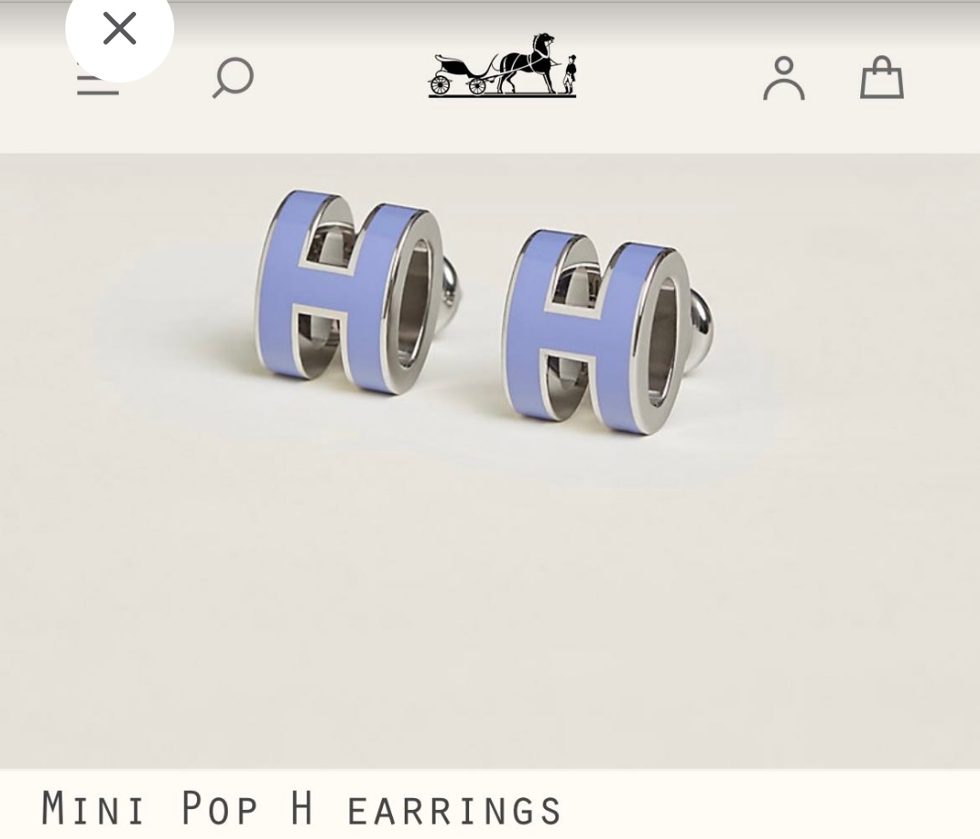 Hermes earrings