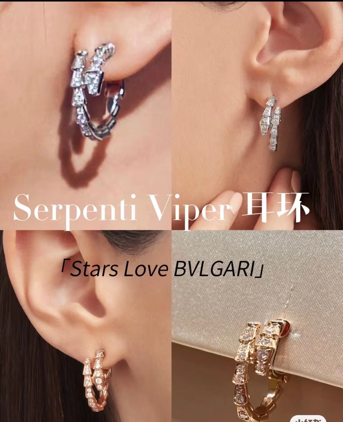 Bvlgari earrings