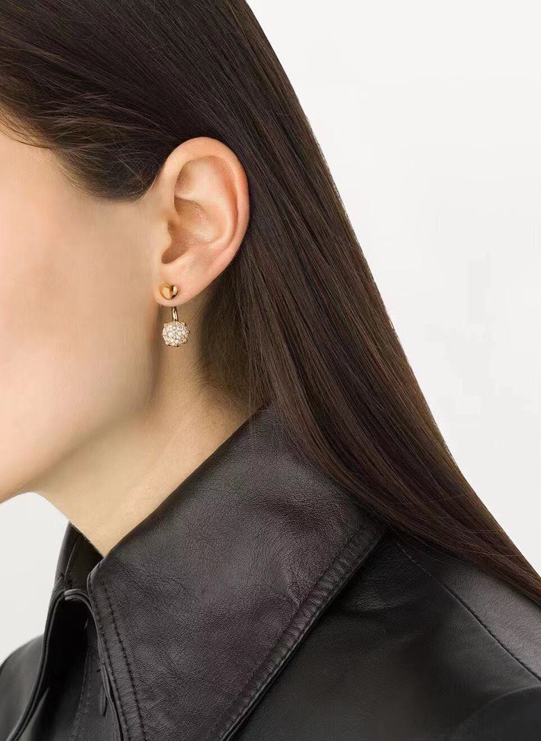 Bottega Veneta earrings – Fibo3Addict
