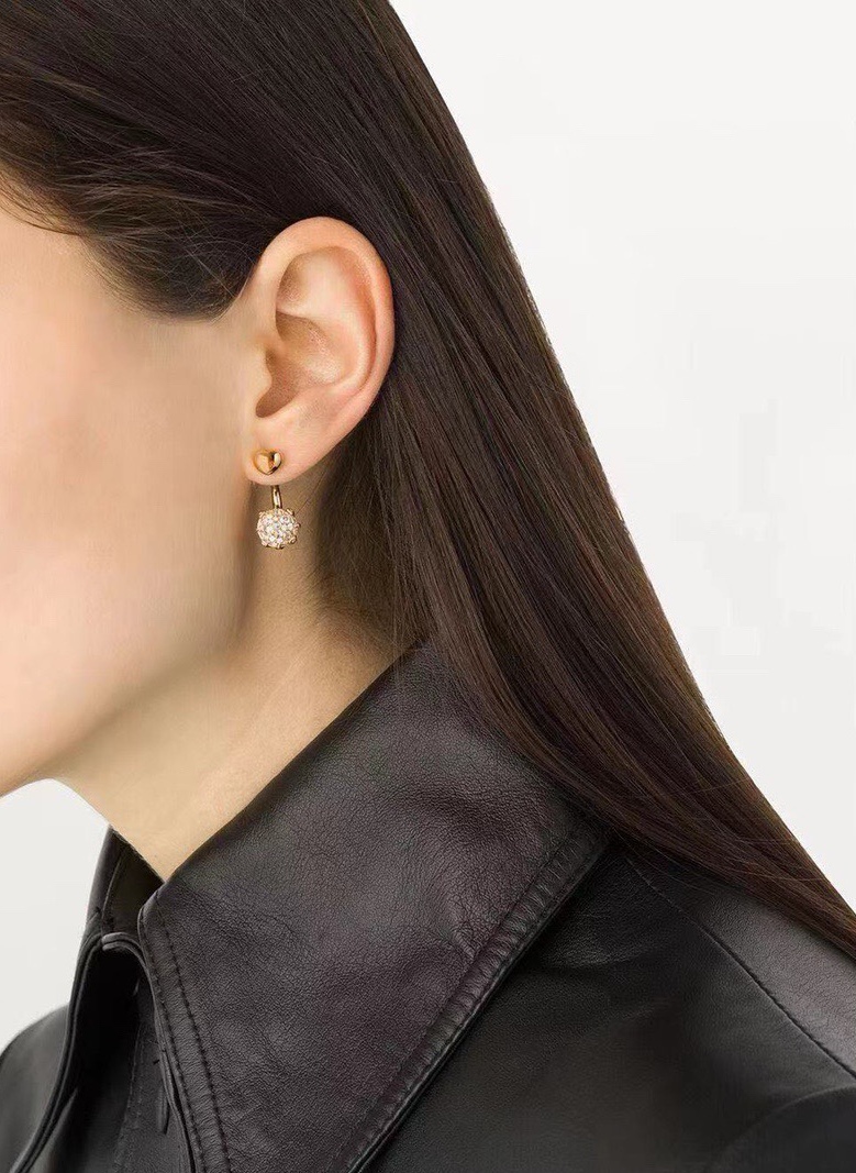 Bottega Veneta earrings