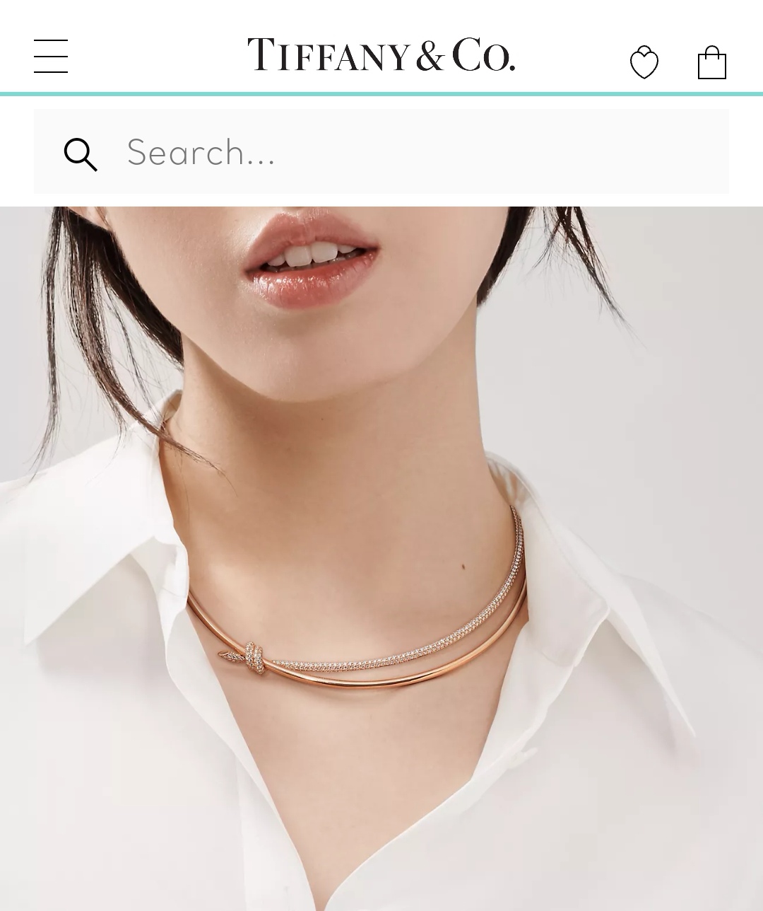 Tiffany & co necklace