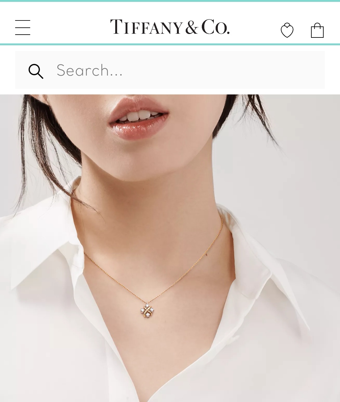 Tiffany & Co necklace