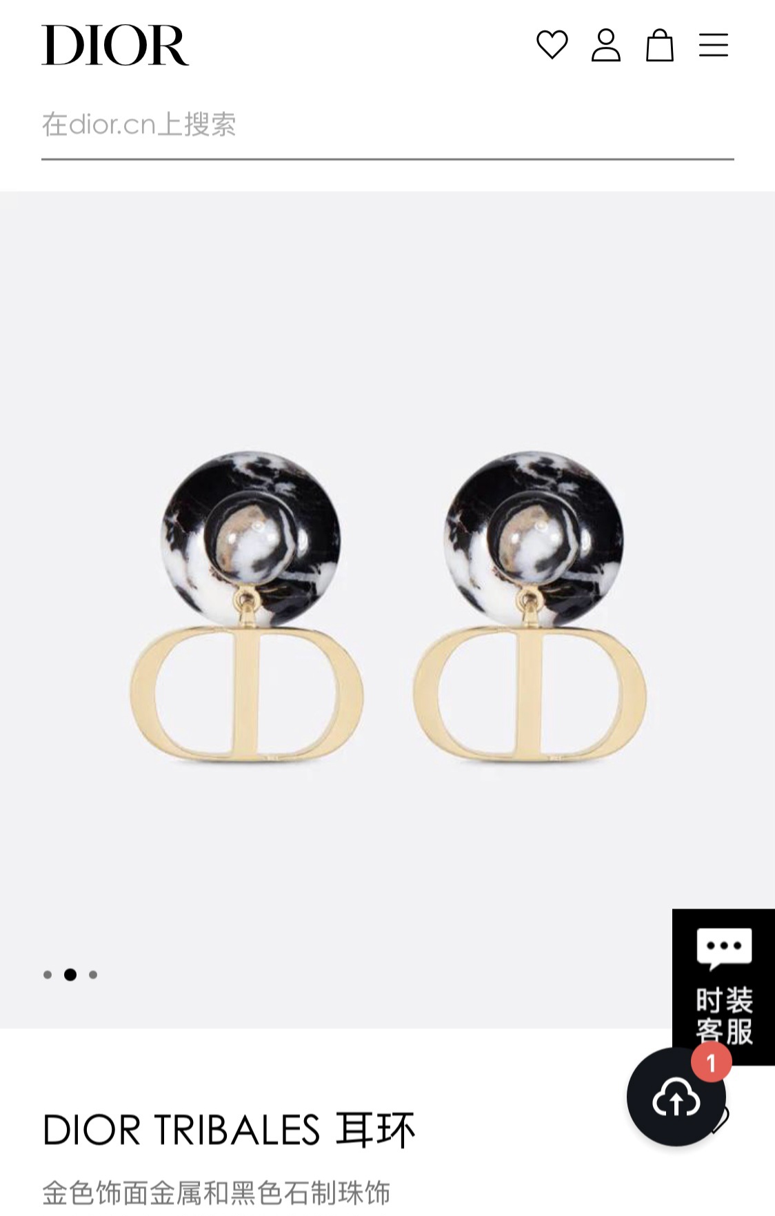 DIOR TRIBALES earrings