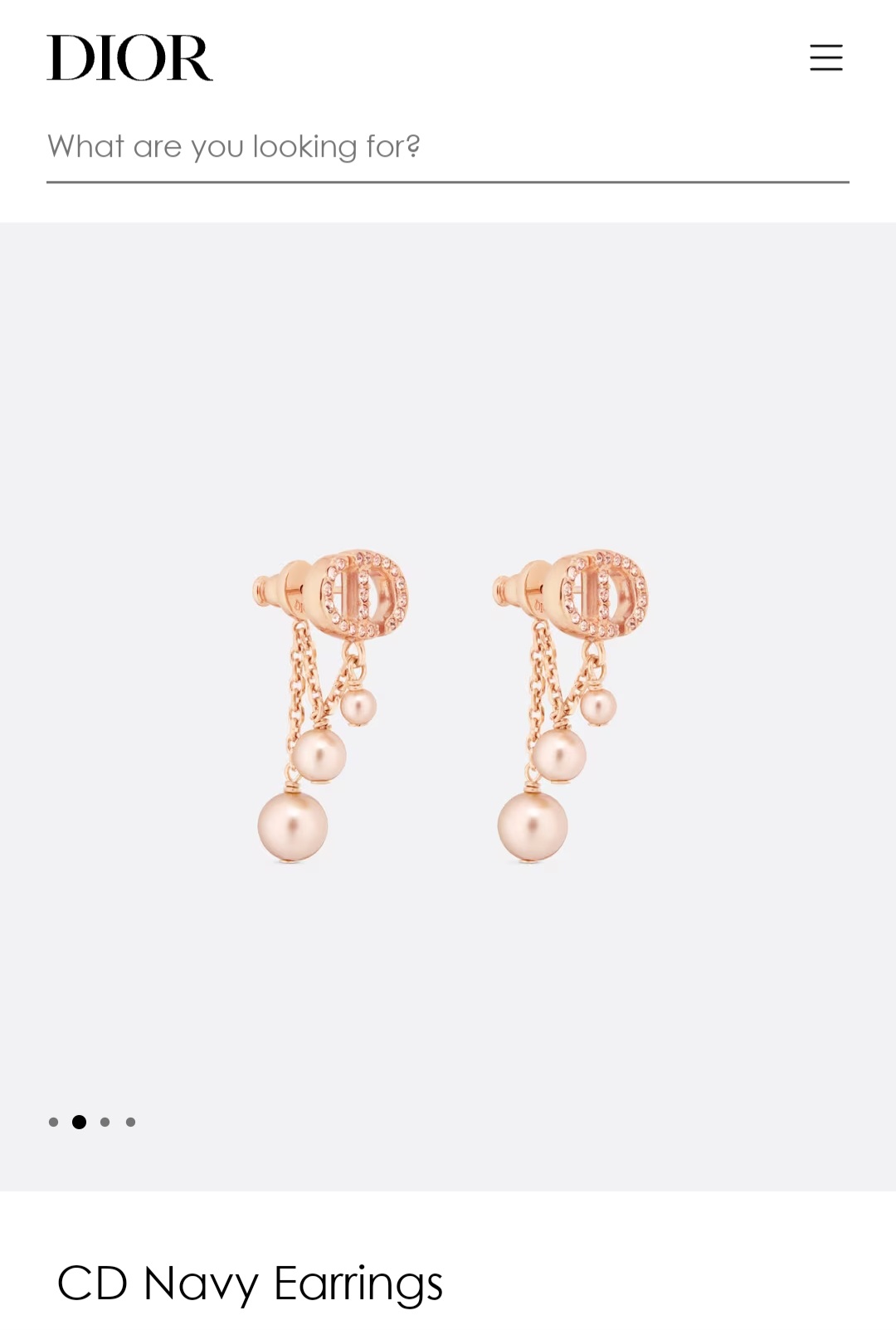 Dior CD Navy earrings